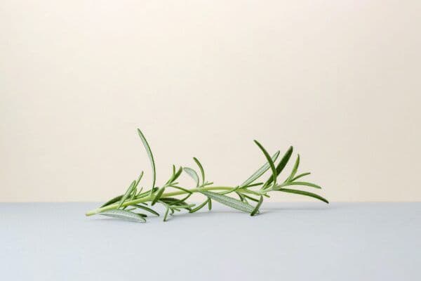 Rosemary